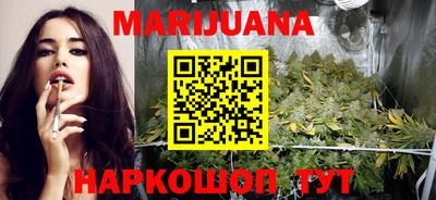 шишки Гатчина