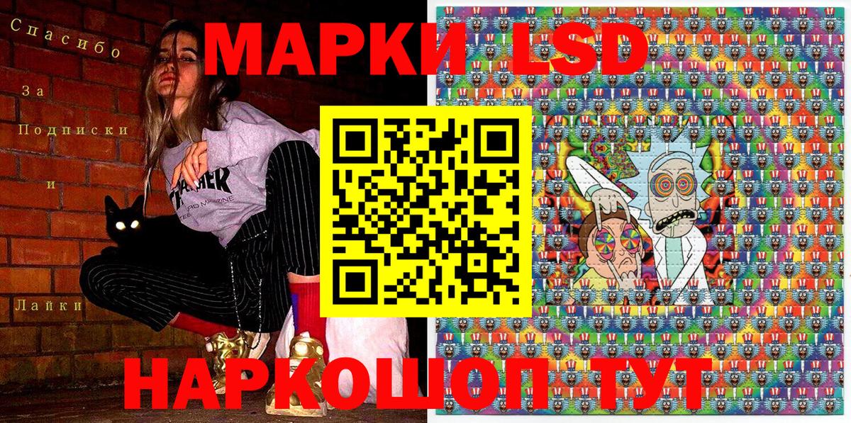  COCAIN Донской