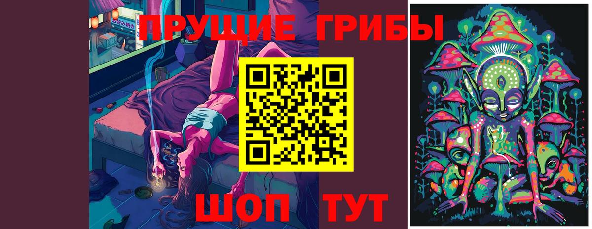 Псилоцибиновые грибы GOLDEN TEACHER  Вход с VPN  Донской 