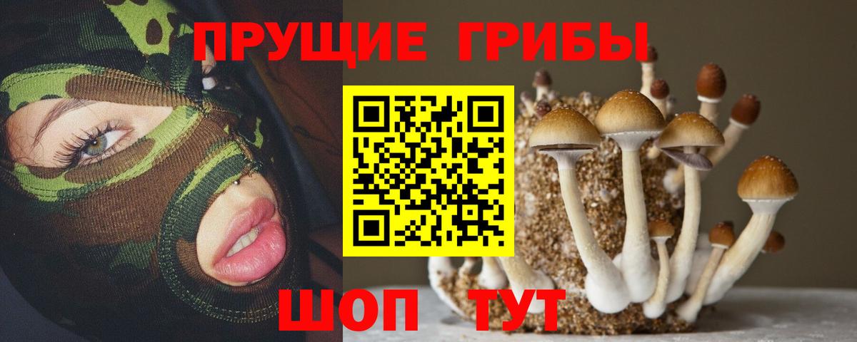 Псилоцибиновые грибы мицелий Донской
